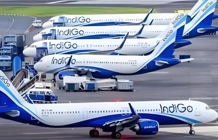 content_image_fff8cf06-e974-4131-954e-726f1d3d1068