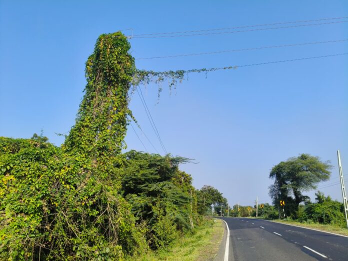 d1a1e7da-0b65-4955-aec2-4f92ce08d64d (1)