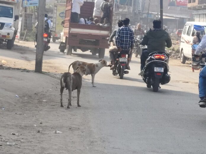 d421e817-869a-4399-b9e6-d2b9df2b03b9