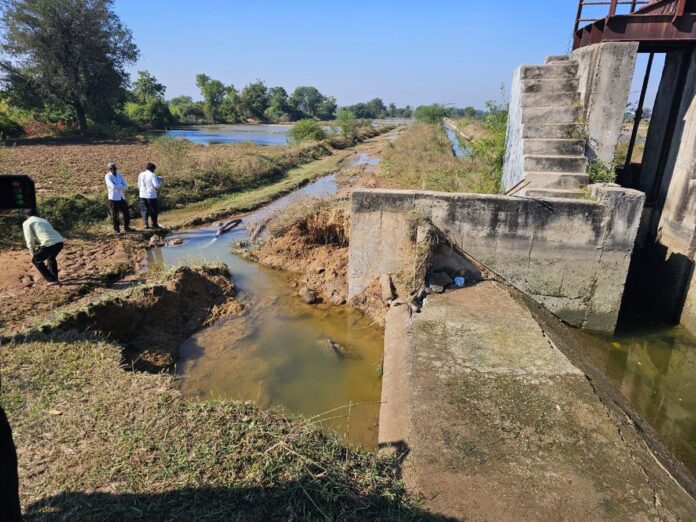 f8ddd6f8-cf1e-4d29-a2c2-79a35345c7b8_1765183765576