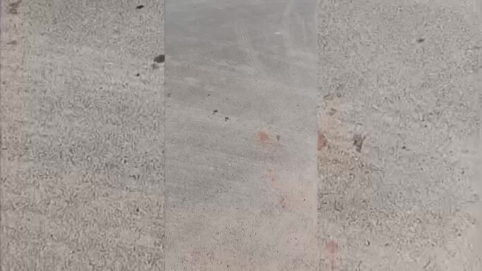 img_1764694597774_449