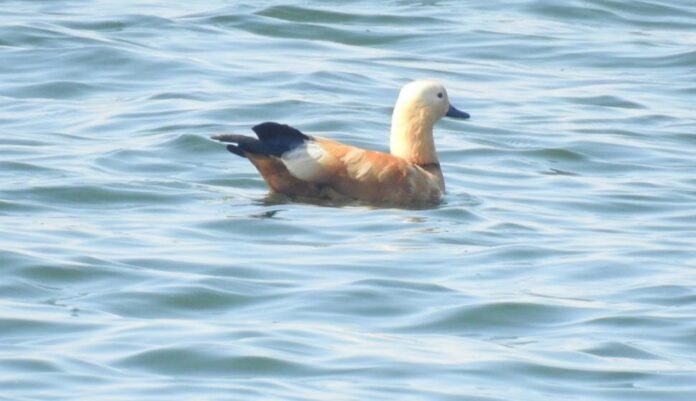 WhatsApp Image 2026-01-03 at 3.40.07 PM