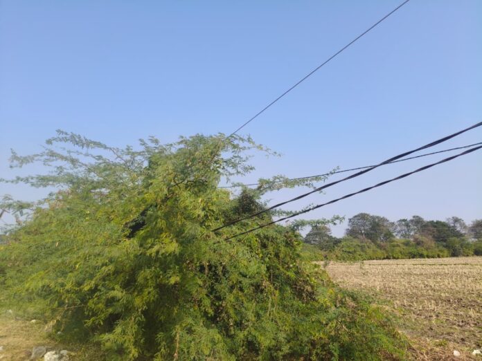 WhatsApp Image 2026-01-05 at 1.55.03 PM