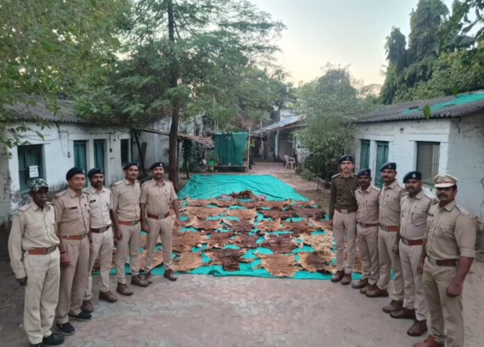 WhatsApp Image 2026-01-08 at 7.39.33 PM