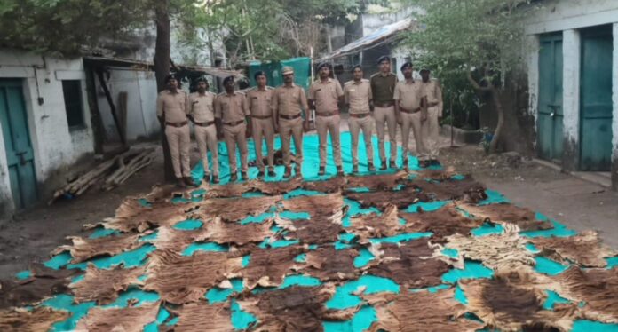 WhatsApp Image 2026-01-09 at 6.46.09 PM