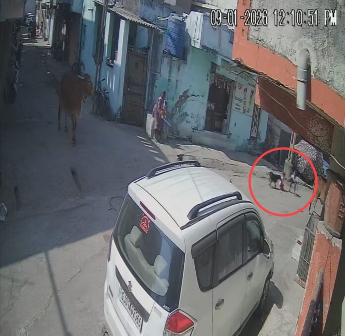 WhatsApp Image 2026-01-10 at 7.22.21 PM