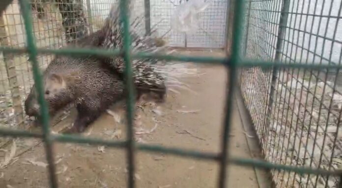 WhatsApp Image 2026-01-10 at 8.06.01 PM