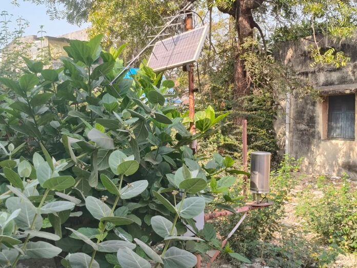 WhatsApp Image 2026-01-11 at 4.00.44 PM (1)