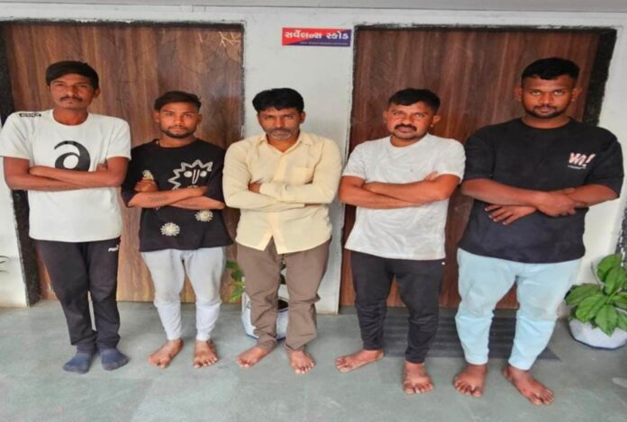 WhatsApp Image 2026-01-12 at 9.10.32 PM