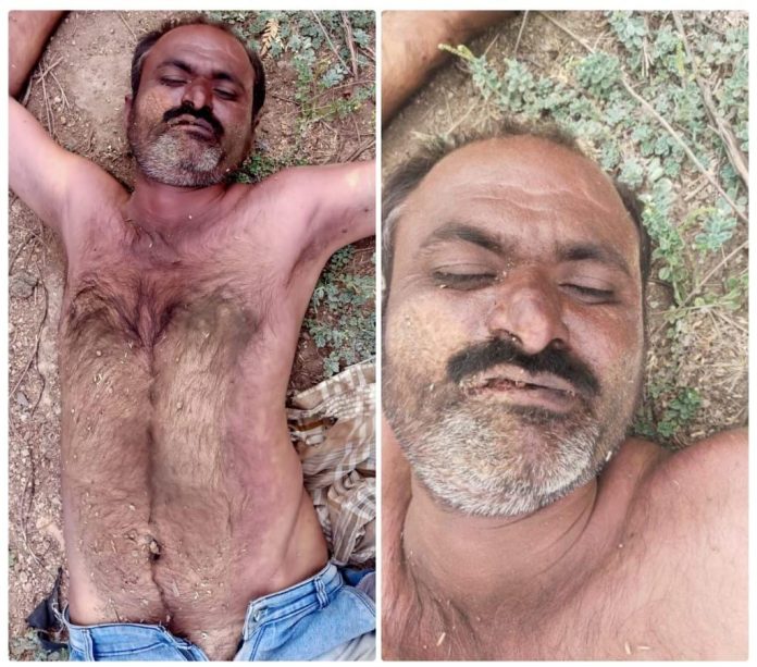 WhatsApp Image 2026-01-25 at 7.44.53 PM