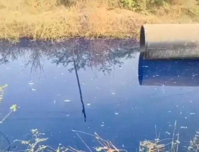 WhatsApp Image 2026-01-30 at 5.19.01 PM