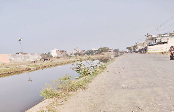 content_image_002f534f-65df-4e68-b7c4-4d0d9d451f4a