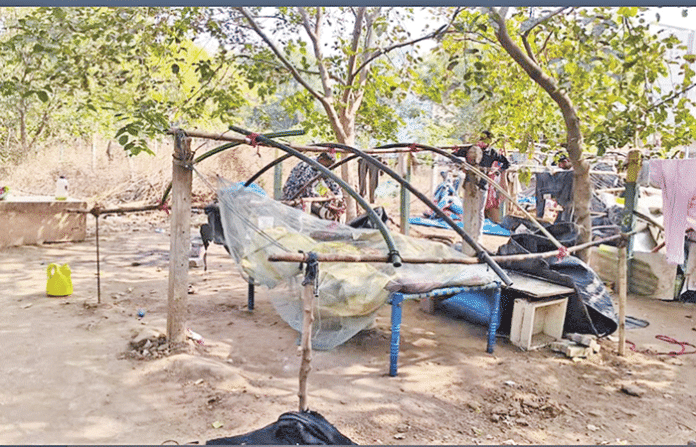 content_image_1014dd06-adcf-48ce-acc6-d84ac893bc95