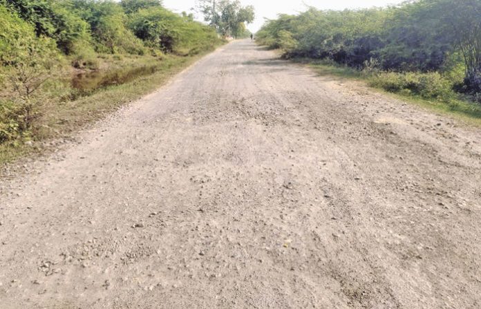 content_image_190d7b09-4765-4d98-820b-560bceeb3f3b (1)