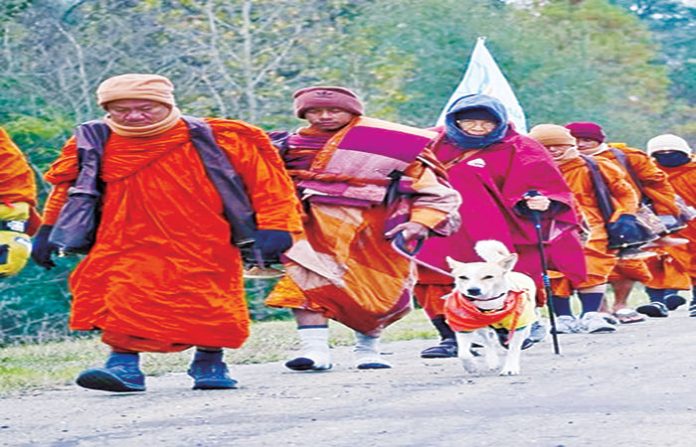 content_image_232ef079-dbaf-434e-b443-5349f0418b49