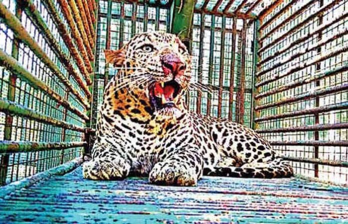 content_image_276ed59e-941f-4de4-9fb5-514af5f0f035