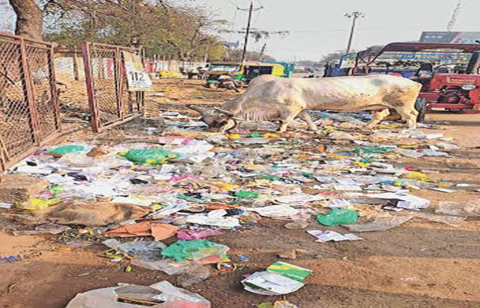 content_image_2b19dadb-9ba6-4b41-8b12-e4131bcc7d73