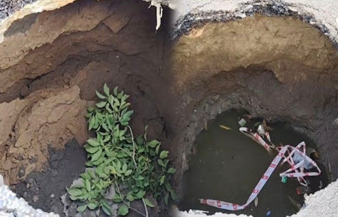 content_image_3a6870be-a080-4c0e-ab18-dbdf095b6d6e