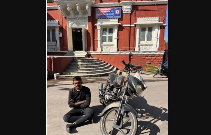 content_image_4a71d58d-b578-48d3-8d1e-b0d49b63d099