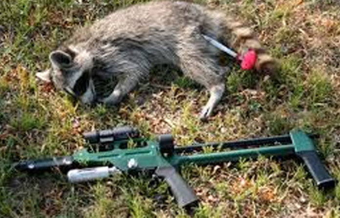 content_image_4e39742f-3cc7-4e72-811d-6bdaa1c3ddda (1)