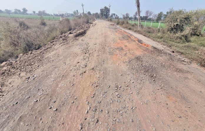 content_image_60720f6f-29e6-424c-b4eb-ba70cdea1508