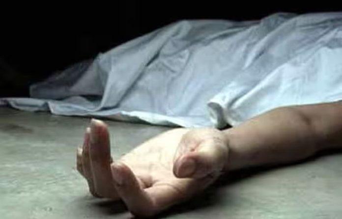 content_image_60e68882-4c32-409e-a90a-24bb59b528a5 (1)