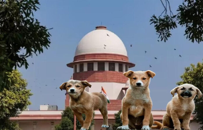 content_image_66142a78-df95-4f97-91af-eb00d38bd9f2