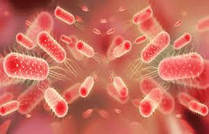 content_image_68f79544-f191-4444-8247-b9523f1eeb96