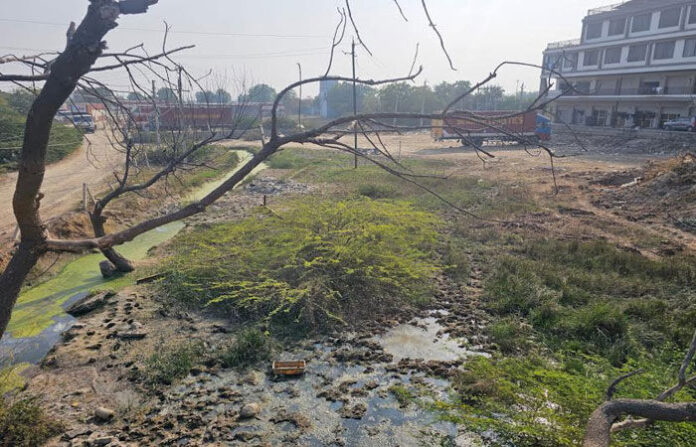 content_image_71e6d2ee-4106-414d-9056-022255645303