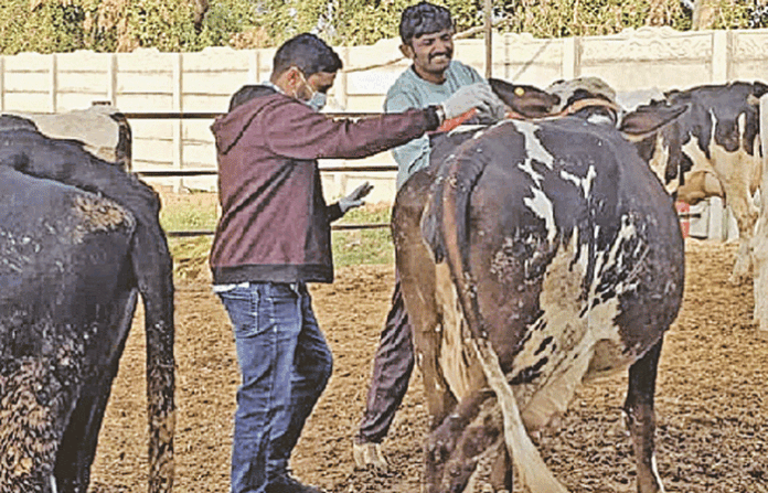 content_image_797608a4-27b9-4d40-bf79-e3564191452b