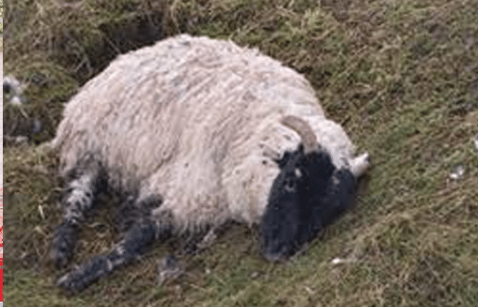 content_image_79b9cf83-13b8-4ceb-956a-0ac37197c4f6 (1)