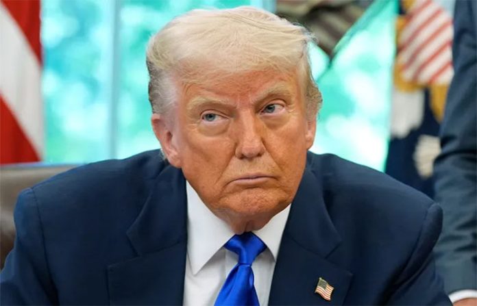 content_image_7bd92b03-7ff7-47ac-8ea6-2a7839fbf352