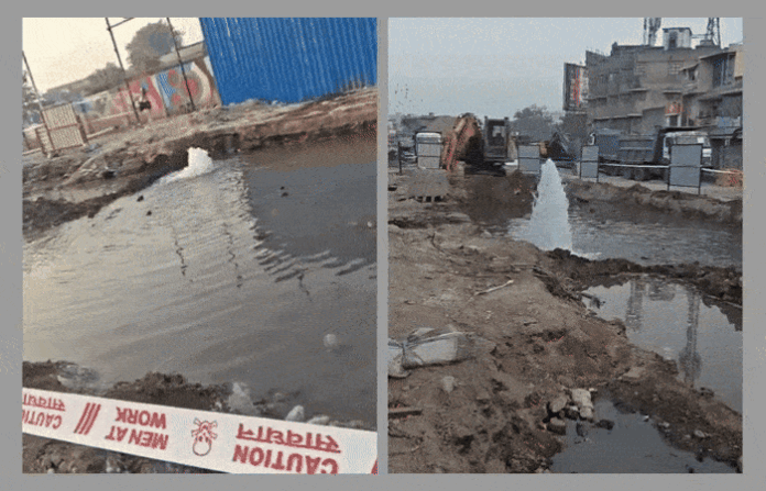 content_image_82782daf-656d-4009-90e1-b8d5b2fdd629