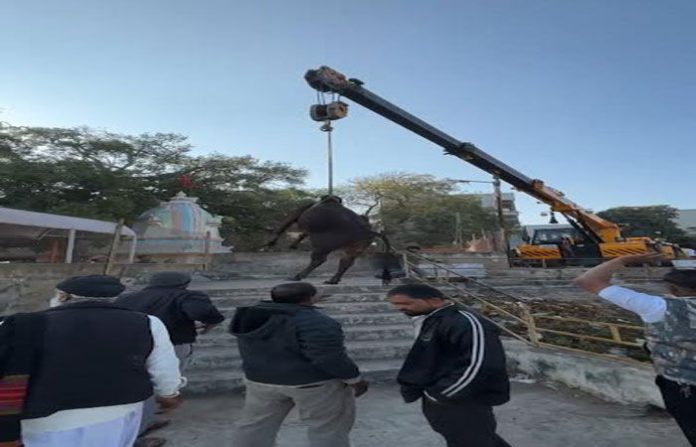 content_image_856b671d-0d47-4c5d-b5c3-7d45336f9d77