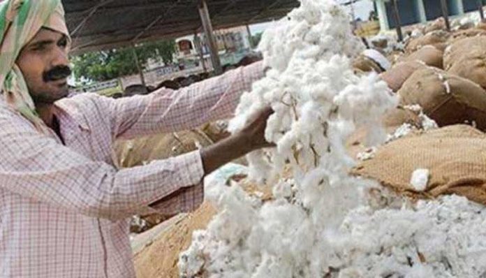 content_image_8bbbddd7-8883-4b8d-aa17-89f42b105bd2