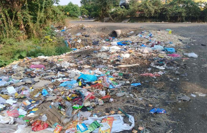 content_image_929dbcfe-5e3e-4c68-a7ca-dad169eb56b3