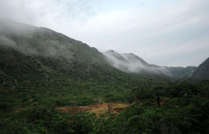 content_image_99fa1504-ba4c-4fd7-b1a6-fa445d292c36