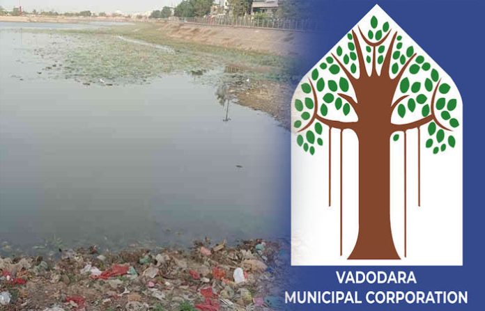 content_image_9b98456c-4267-4a56-a520-0b42498550b9