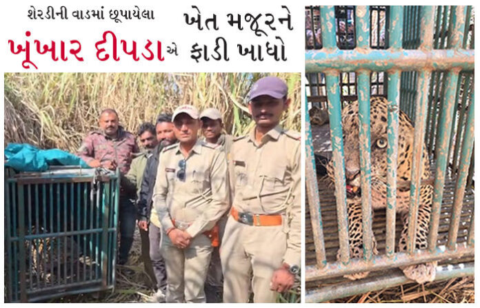 content_image_a0595b2d-d200-4c7a-aa4e-ef631a32b232