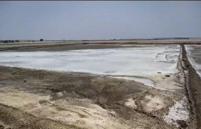 content_image_a1f995d5-3a0b-4835-b28f-c1981535c1f9 (1)