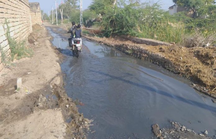 content_image_a4e61a3c-a8d4-4408-802e-aa540284126e