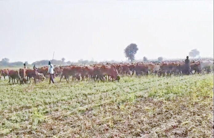 content_image_ac2b5146-acbe-4529-8aaf-ab58e576d25e