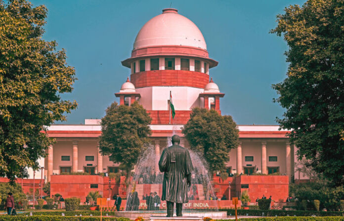 content_image_adcd3436-f25d-41bb-b6c9-bd5b59848660