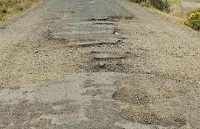 content_image_b6f01178-85f6-4432-951d-1f1955edb509