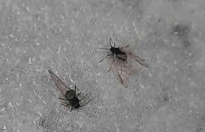 content_image_b73df158-4498-4f3b-a808-b47e39888739