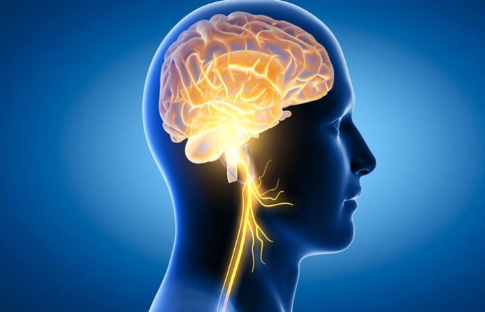 content_image_cf86399e-ba81-4674-b7fb-888a7825d061