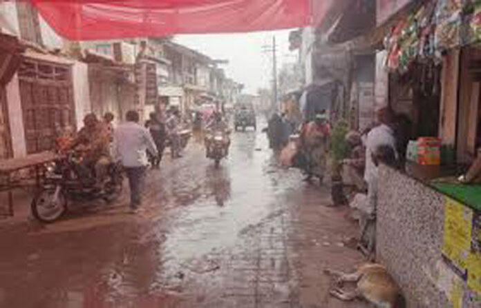 content_image_db9913a2-035c-488d-bede-b4707f5a212c