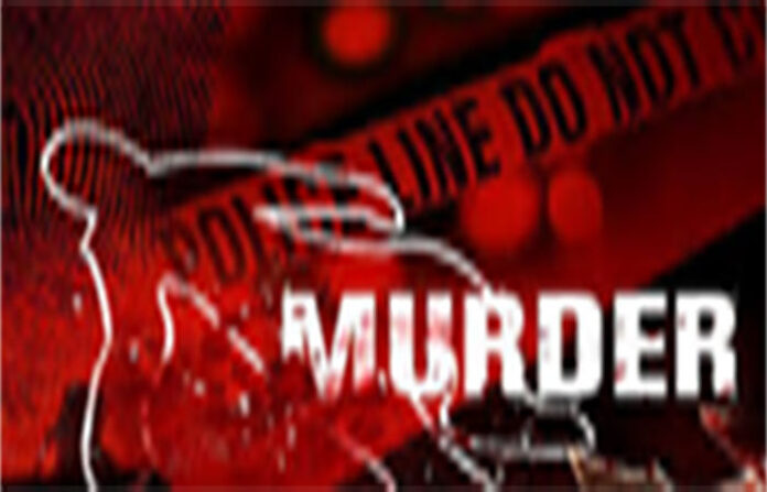 content_image_de9dbc87-a3a3-4615-b951-eb4e81190b78