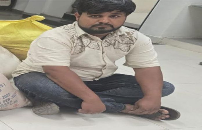 content_image_e5e44629-6c46-458f-9338-df815cc900c0