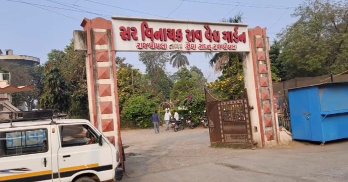 WhatsApp Image 2026-02-03 at 6.35.00 PM